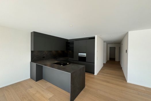 Dernier appartement de la promotion Nierlet 8 à Neyruz FR